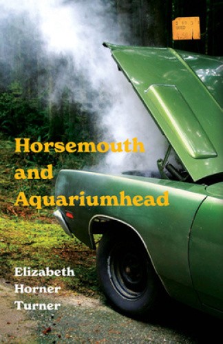 Horsemouth and Aquariumhead by Elizabeth Horner Turner