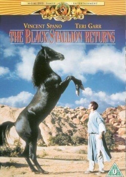 Dvd Black Stallion Returns / Ritorno Di Black Stallion (Il) [Edizione: Regno Uni