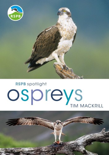 RSPB Spotlight Ospreys (RSPB) by Mackrill, Tim