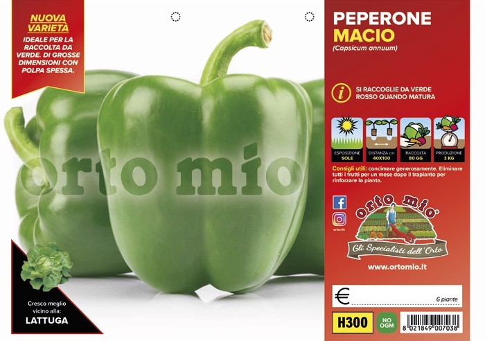 ORTO MIO Peperone Verde Macio
