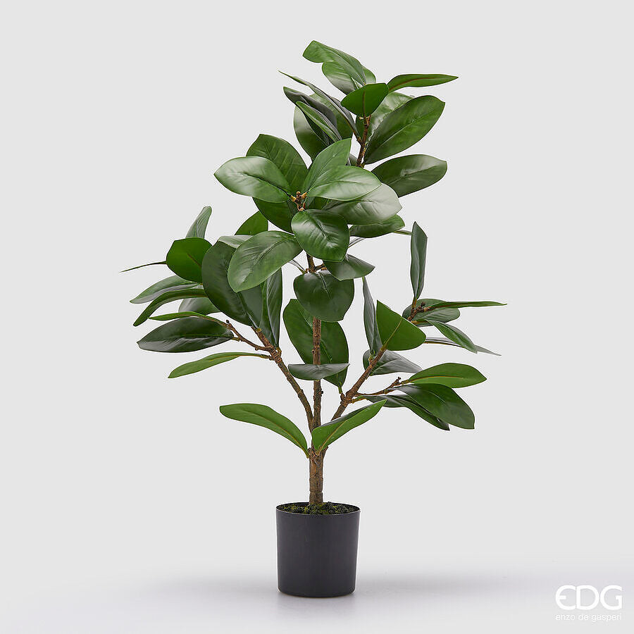 EDG Enzo De Gasperi EDG Enzo De Gasperi Ficus con Vaso Artificiale H 64 Cm Green