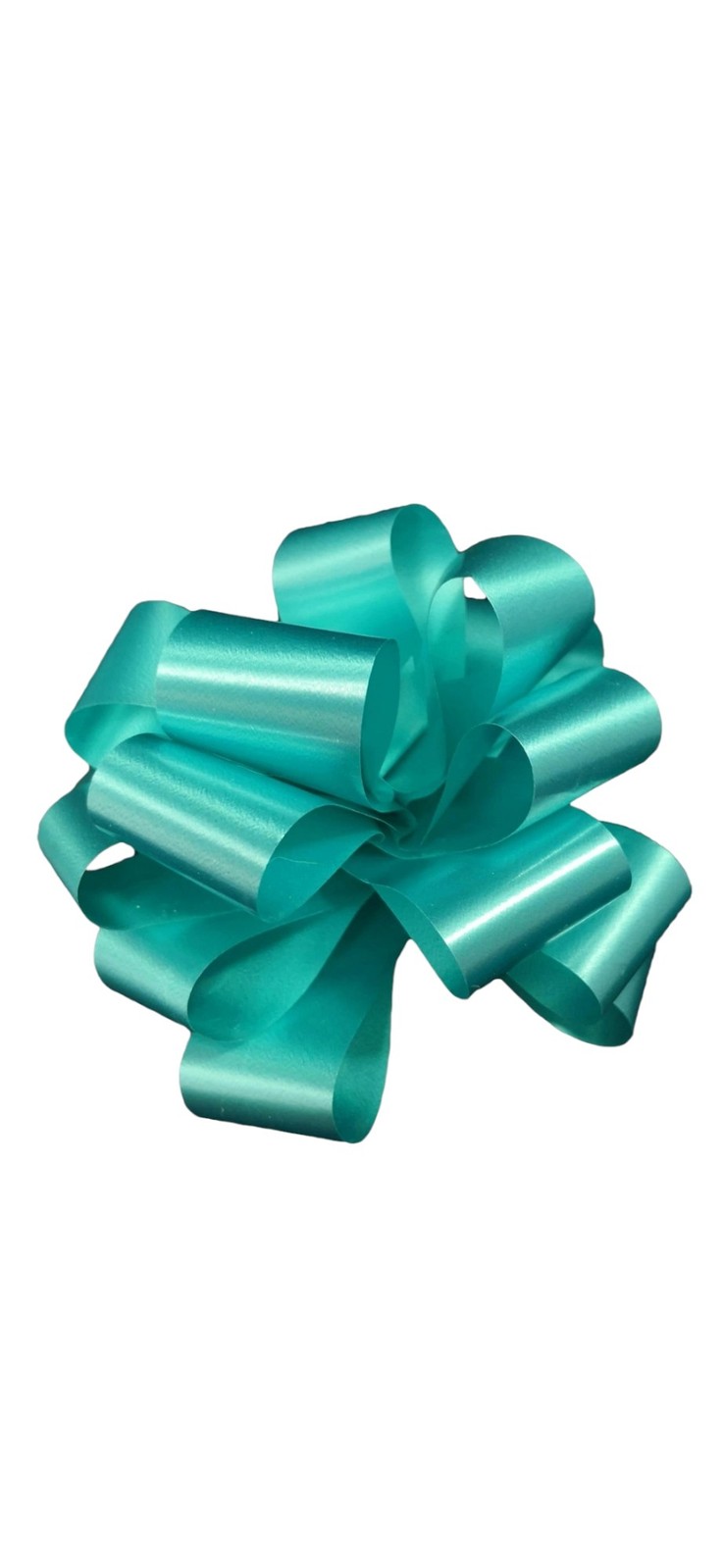 FIOCCO RAPIDO 31MM CONFEZIONE 50PZ TIFFANY - FACILE E VELOCE PER PACCHI  PERFETT