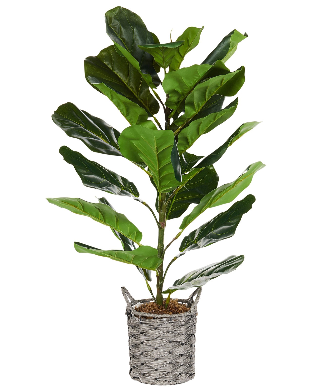 Pianta artificiale in vaso albero di fico 72 cm Fiddle Leaf Tree
