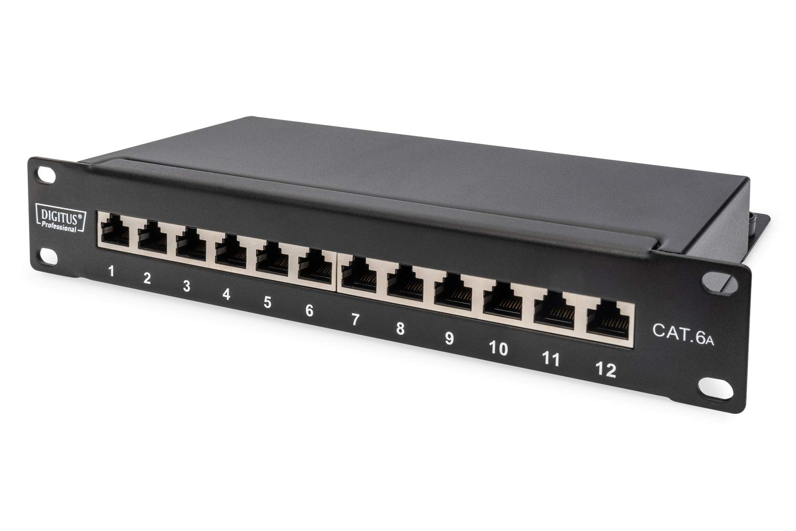 DIGITUS Cat 6A patch panel - 12 ports - RJ45 jacks - 10-inch rack mount 1 rack u