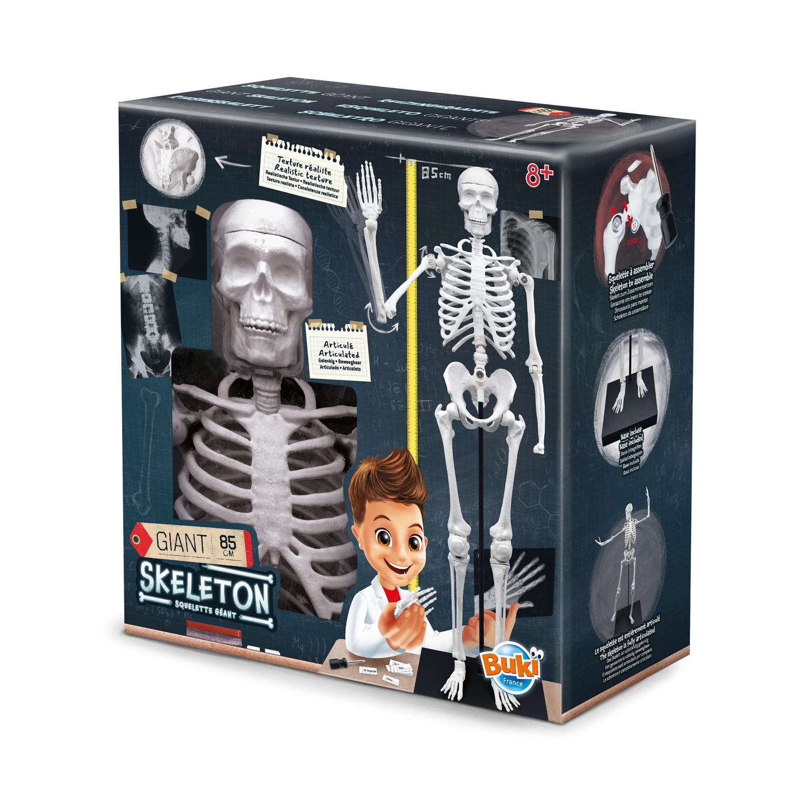 Buki France 2181 Skeleton 85 cm