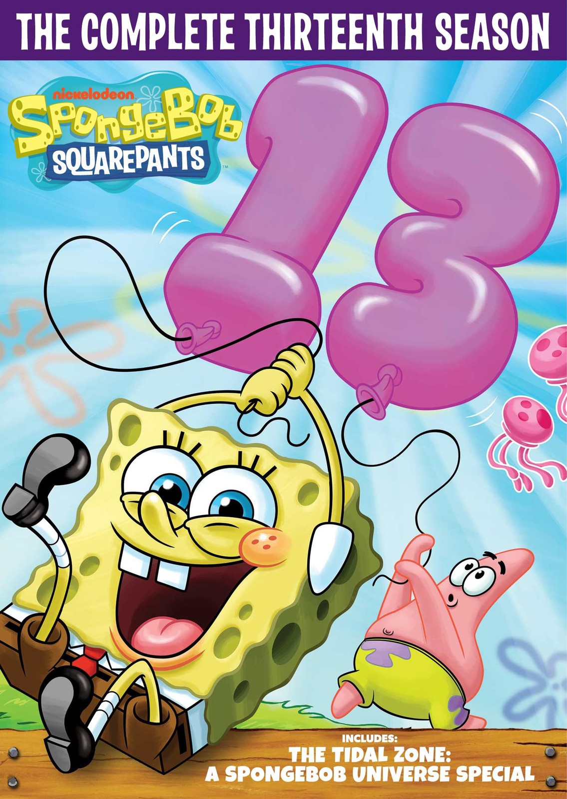 SpongeBob SquarePants: The Complete Thirteenth Season (DVD) Bill Fagerbakke