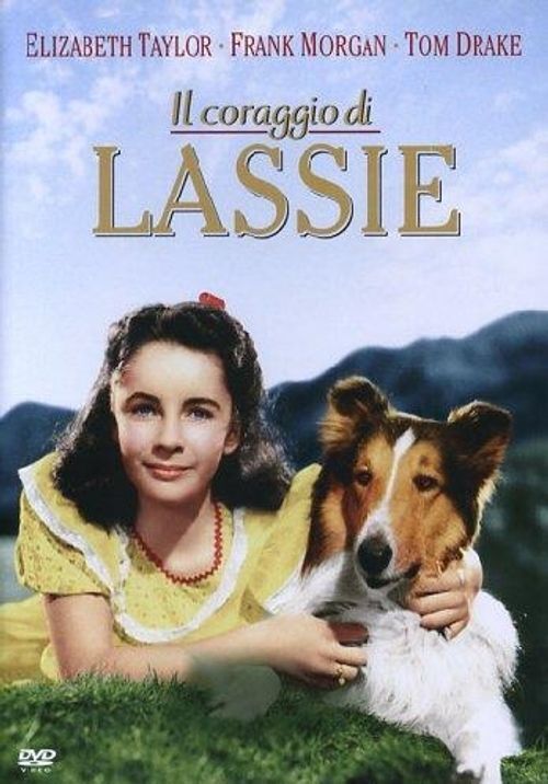 Dvd Nuovo - Lassie - Il Coraggio Di Lassie 1946 - Warner Home Video