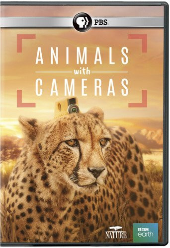 NATURE: Animals With Cameras DVD (DVD)