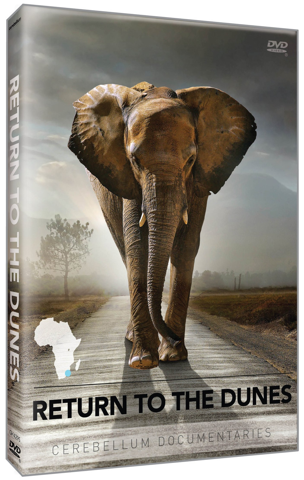 Return to the Dunes (DVD) Cerebellum Academic Team