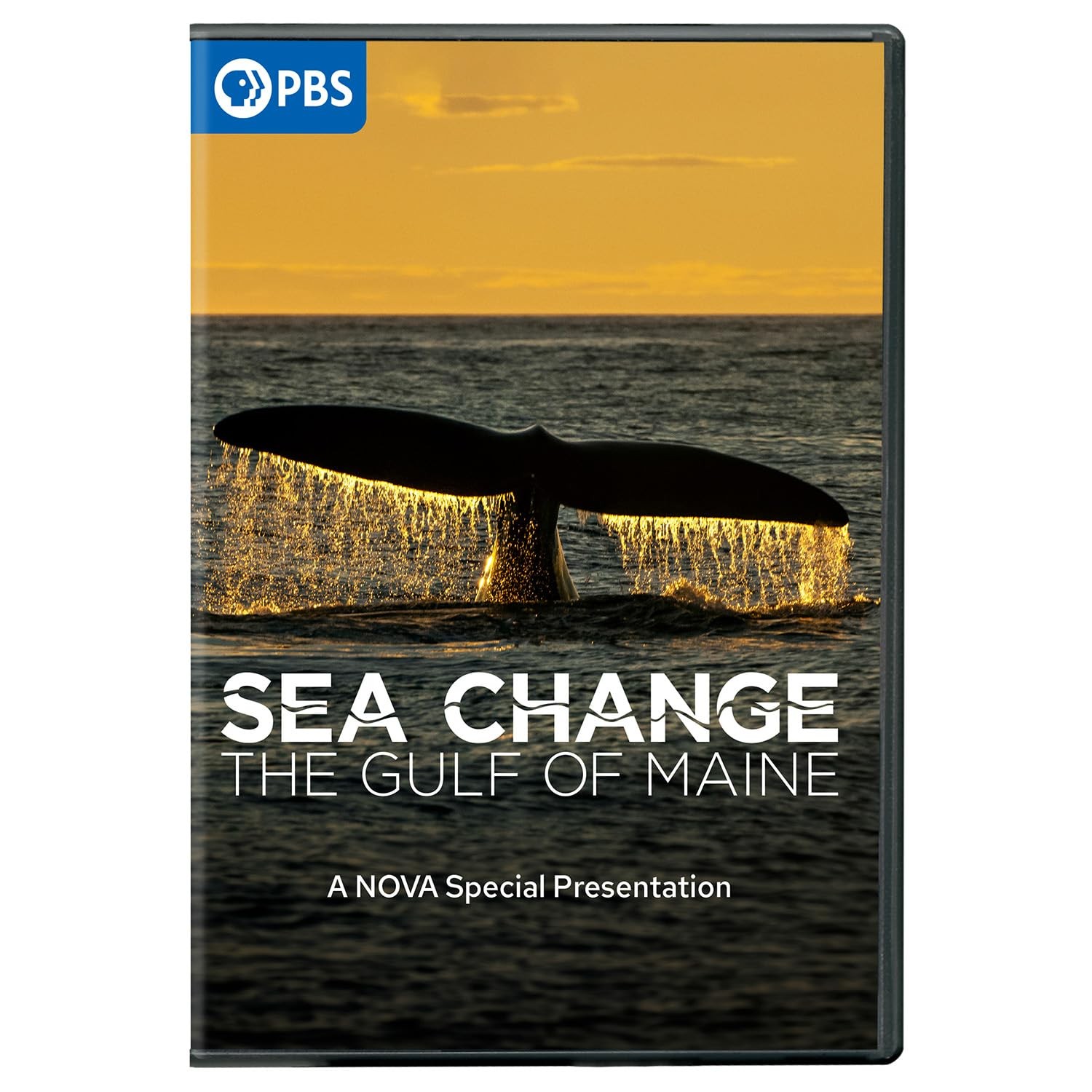 Sea Change: The Gulf of Maine, A NOVA Special Presentation DVD (DVD)