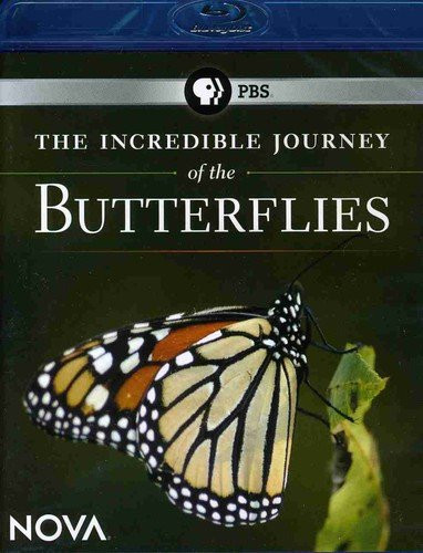NOVA: The Incredible Journey of the Butterflies (Blu-ray)