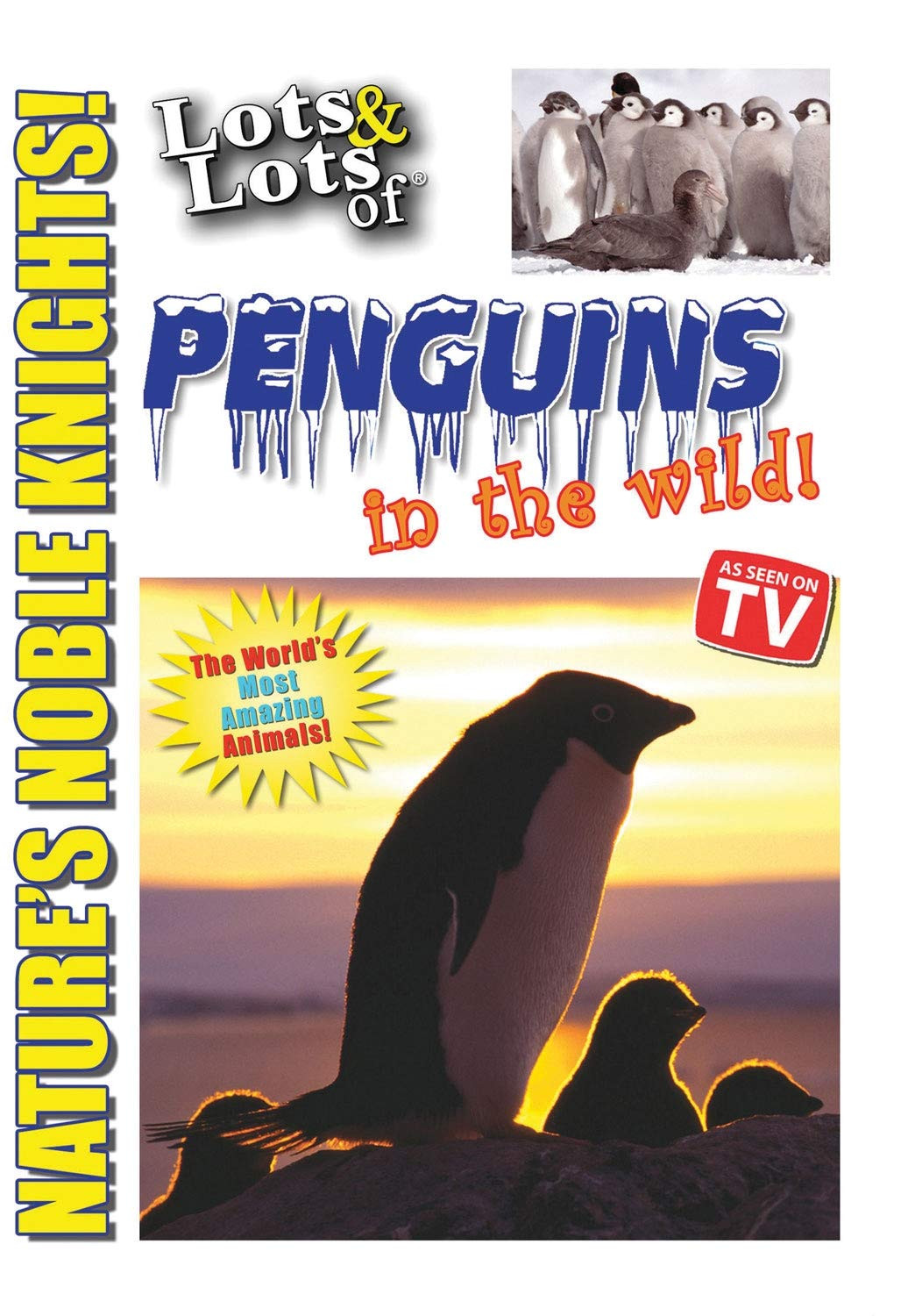 Lots & Lots of Penguin in the Wild - Nature's Noble Knights (DVD)