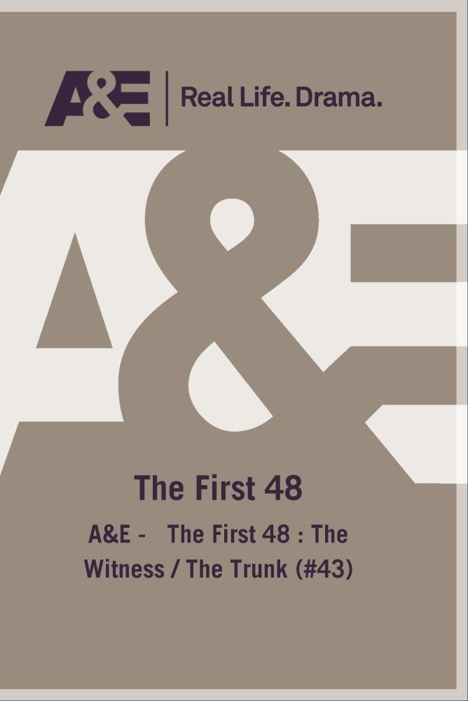 A&E: The First 48 : The Witness / The Trunk (DVD)