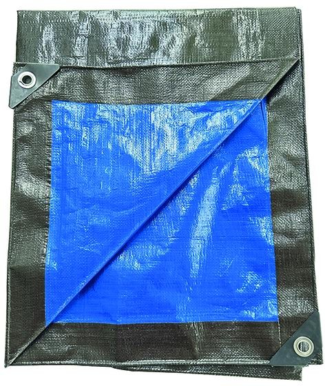 TELONE ANTISTRAPPO STANDARD BICOLOR BLU/VERDE    8X10  M