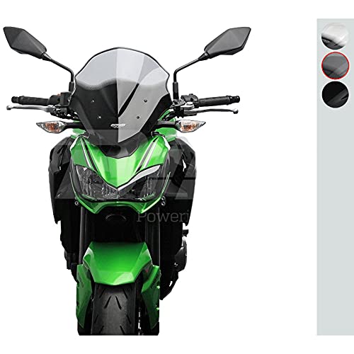 Mra Cupolino Racing Kawasaki Z900, Fumé