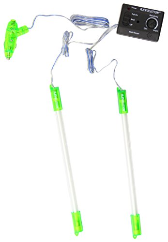 Bottari 13838 Shiny Luci Per Auto, 2 Pezzi, 23 Cm, Verde