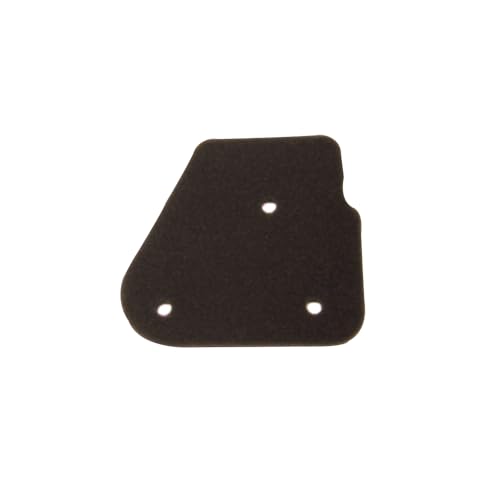 Bcr Hokio Filtro Aria Aspirazione Compatibile Con Benelli Compatibile Con Keeway Compatibile Con Malaguti Compatibile Con Mbk Compatibile Con Yamaha C