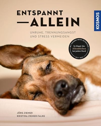 Entspannt Allein: Unruhe, Trennungsangst Und Stress Vermeiden