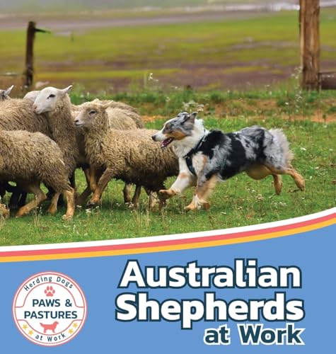Australian Shepherds At Work: 1