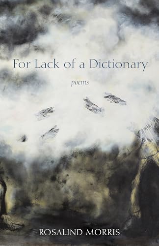 For Lack Of A Dictionary