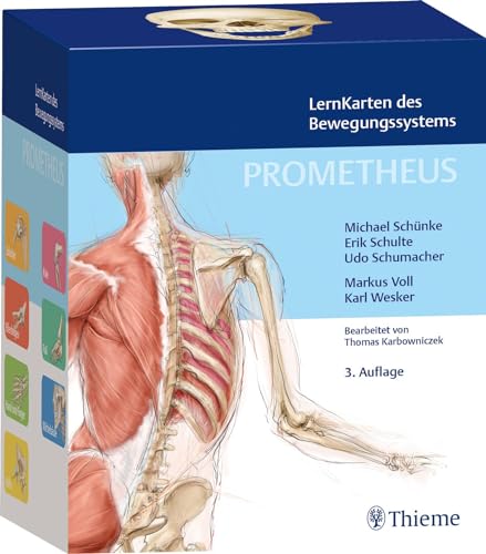 Prometheus Lernkarten Des Bewegungssystems