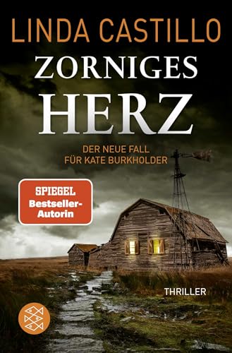 Zorniges Herz: Thriller | Spannender Thriller Bei Den Amischen