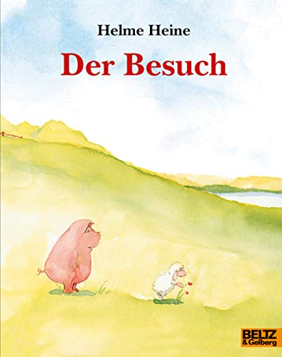 Der Besuch: Vierfarbiges Bilderbuch