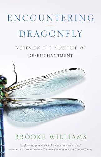 Encountering Dragonfly: Notes On The Re-Enchantment Of The World