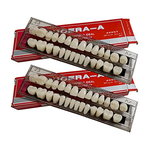 56 Denti Finti, Denti Dentali Completi In Resina Acrilica Per Protesi Dentarie, 2 Set Di Denti Interi In Polimero Sintetico, 23 Tonalità A2 Superiore
