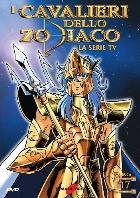 I Cavalieri Zodiaco 17