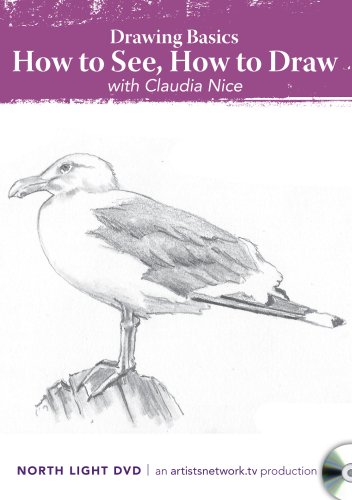 Drawing Basics, How To See, How To Draw