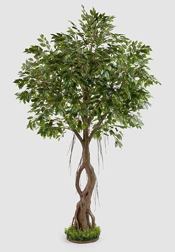 Edg Enzo De Gasperi Enzo De Gasperi Ficus Beniamino Con Zolla Artificiale H 245 Cm Green