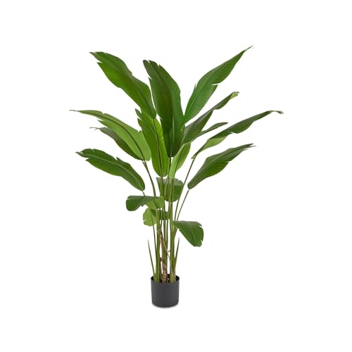 Edg Enzo De Gasperi Strelitzia Banks Con Vaso Da Interno O Esterno, Pianta Artificiale, Finta Verde Da Arredamento H155 Cm