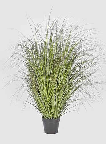 Edg Enzo De Gasperi Enzo De Gasperi Festuca Con Vaso Artificiale H 142 Cm Green Pink