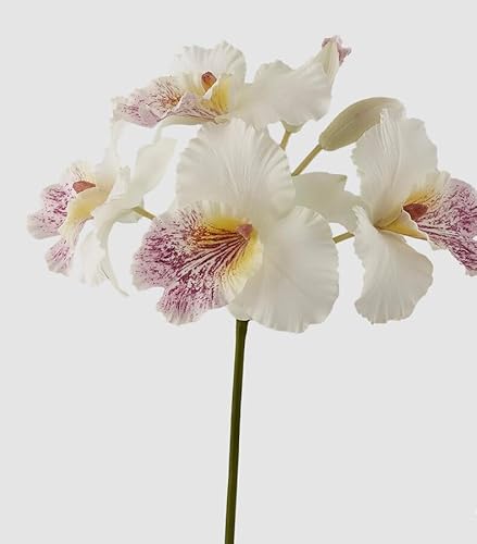 Edg Enzo De Gasperi Enzo De Gasperi Orchidea Cattleya Duke Ramo X4 E 2 Boccioli Artificiale H 43 Cm White Violet
