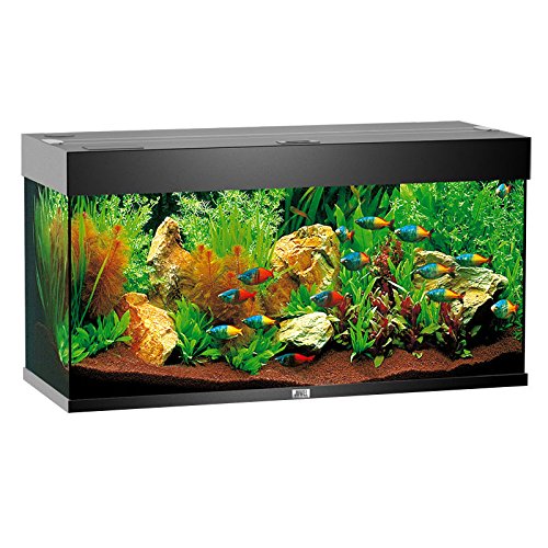 Acquario Juwel Rio 180 Accessoriato Completo Materiale Filtrante Nero 180 Lt