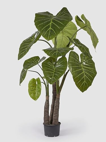 Edg Enzo De Gasperi Enzo De Gasperi Alocasia Con Vaso Artificiale H 210 Cm Green