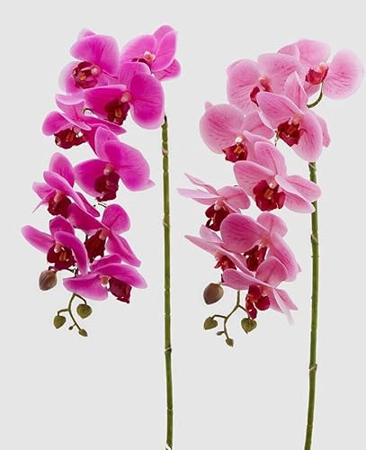 Edg Enzo De Gasperi Enzo De Gasperi Orchidea Phalaenopsis Real Ramo Artificiale Ass. H 76 Cm Fuchsia 1 Pz