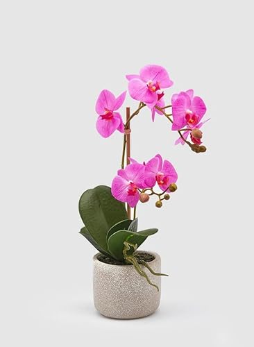 Edg Enzo De Gasperi Enzo De Gasperi Orchidea Phalaenopsis Pianta X2 Artificiale Con Vaso H 42 Cm Beauty