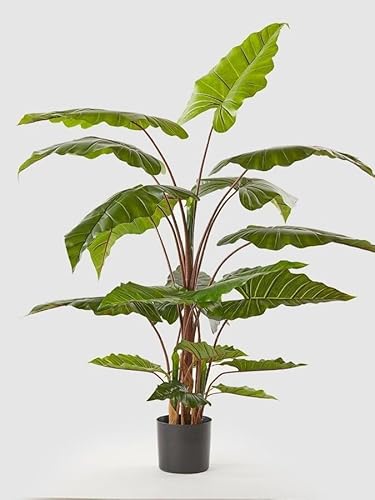 Edg Enzo De Gasperi Enzo De Gasperi Alocasia Chic Con Vaso Artificiale H 170 Cm Green