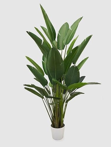 Edg Enzo De Gasperi Enzo De Gasperi Strelitzia Chic Con Vaso Artificiale H 245 Cm Green