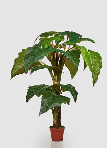 Edg Enzo De Gasperi Enzo De Gasperi Alocasia Chic Con Vaso Artificiale H 196 Cm Green