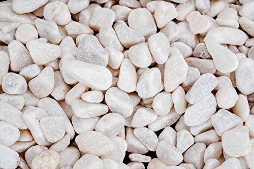 Pietre Ghiaia Decorativa Sassi Decorativi Ciottoli Giardino E Interni (Bianco, 4,5Kg)