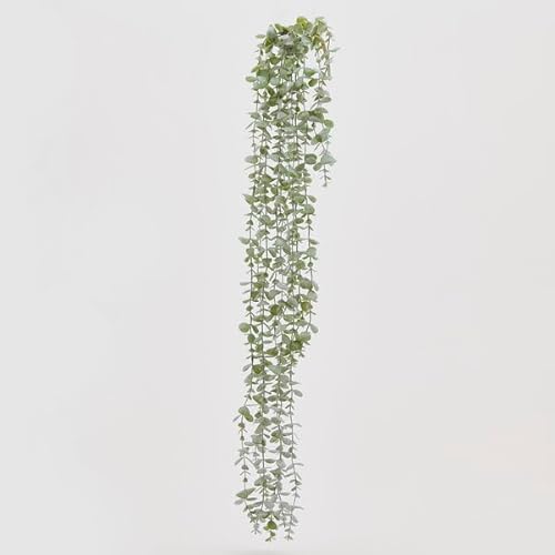 Edg Enzo De Gasperi Enzo De Gasperi Eucalipto Cespuglio L.105 C4 Sage