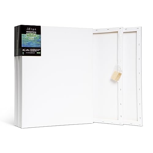 Elan Tela Per Dipingere 40X50, Set Da 6 Tele Da Dipingere Cotone 100%, Tele Intelaiate Per Dipingere, Tela Bianca Per Dipingere, Tele Per Pitturare, T