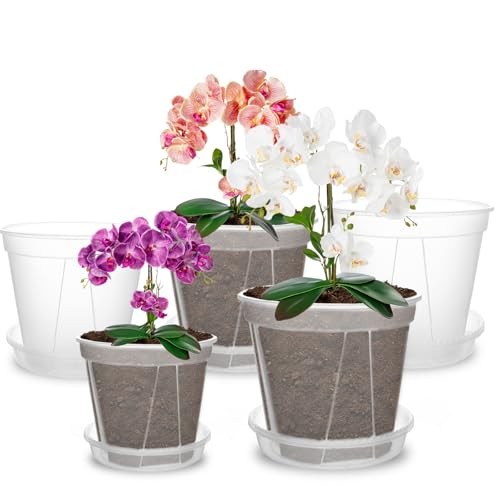 Aonyiyi 5 Vasi Trasparenti Per Orchidee, Con Fori E Piattini, Orchidee, Per Interni Ed Esterni, Balcone, Scrivania (10/12,7/14/15,2/17,7 Cm)