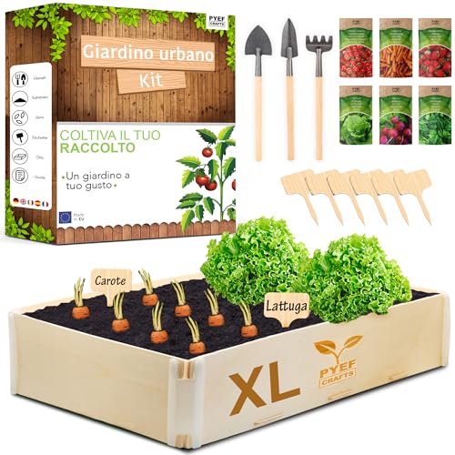 Pyef Crafts Kit Giardinaggio Xl Per Orto In Casa Kit Piante Da Far Crescere - Germinazione Semi Orto - Piantina Da Far Crescere 6 Semi