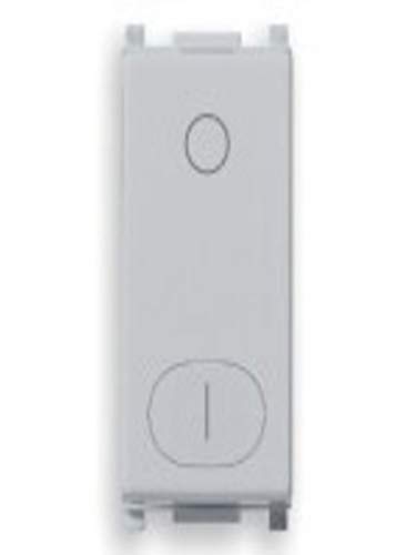 Interruttore Vimar Plana Silver 2P 16Ax 14015.Sl