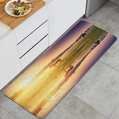 Hasenciv Tappeti Cucina Antifatica Stuoia Ammortizzata Animali Horse Valley Con Stampa Lago Lavabile Moquette Per Ingresso,Bagno,Cucina,Giardino