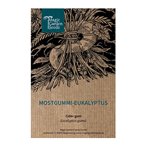Eucalyptus Gunnii (Eucalyptus Gunnii) Circa 10 Semi Di Questo Esotico Alberello Australiano, Pianta Da Vaso, Fiore Reciso, Pianta Officinale